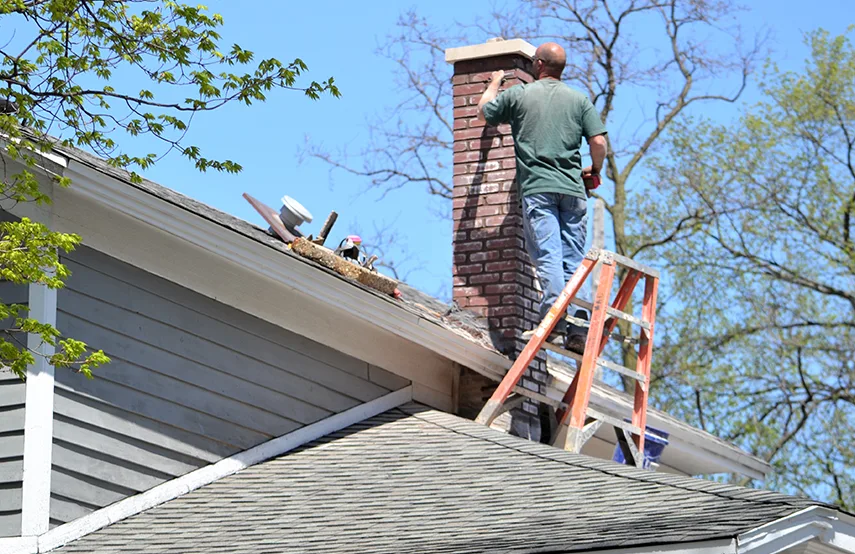 Chimney & Fireplace Inspections Services in Mastic, NY